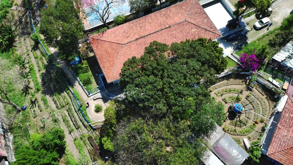 Prato Verde Sustentável