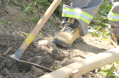 Implantação de Horta